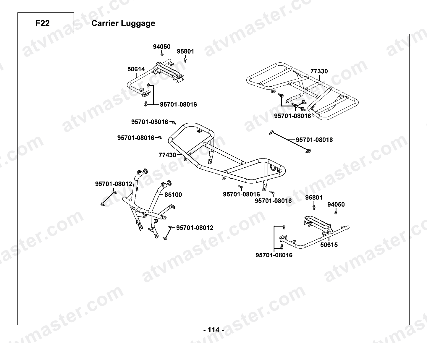Carrier Luggage